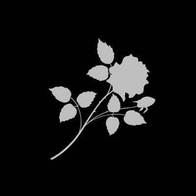 Flower Black Square, par Xavier E. G. Dierick